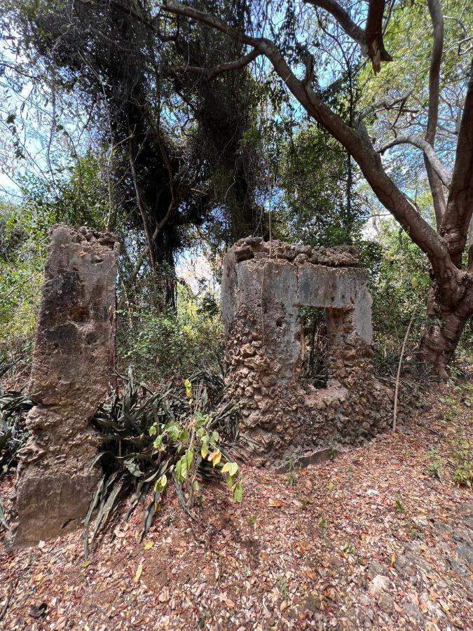 Chole Foxes Lodge מראה חיצוני תמונה